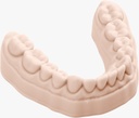 CapsulePrint - Dental Model HP (2x160g)